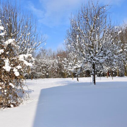 Garten im Winter