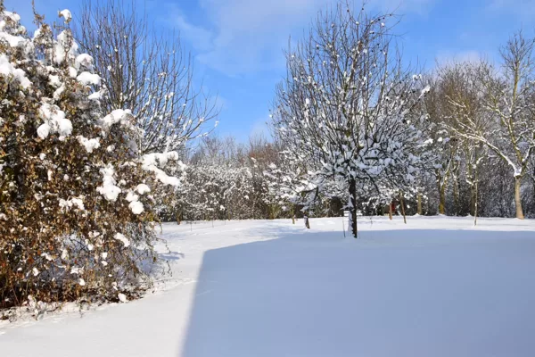 Garden im Winter
